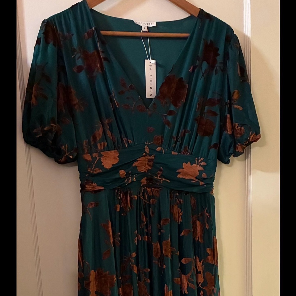 Baltic Born Leslie large Gown forest fairy Floral velvet burnout whimsigoth